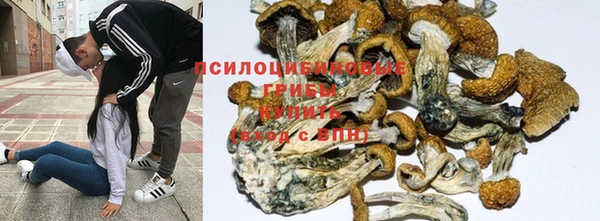 наркотики Горнозаводск