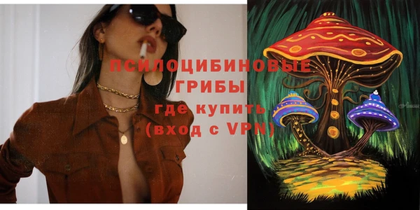 spice Вязьма