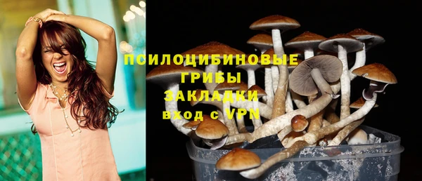 spice Вязьма